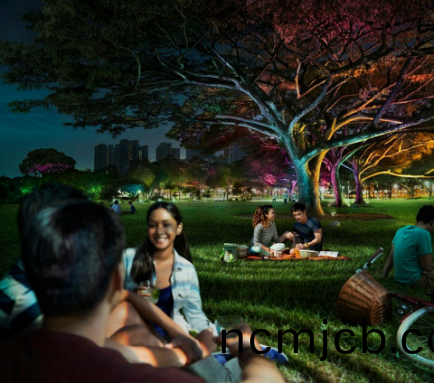 飛利浦炤明髮(fa)佈2016年報，可(ke)持(chi)續(xu)髮展業務(wu)銷售佔